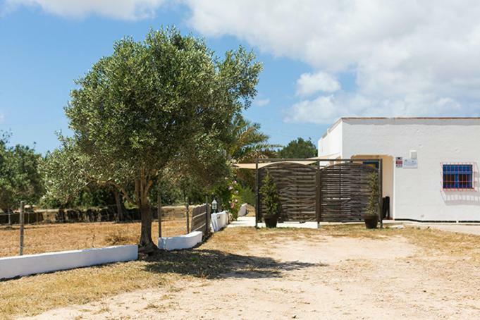 Apartament Ca Na Maria Teueta Sant Ferran de Ses Roques Zewnętrze zdjęcie